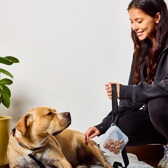 SnapPack Dog Treat Bag