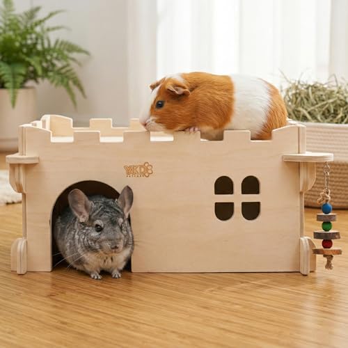 Castle Chinchilla House (Large Assembly Style)