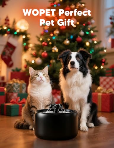 Premium Ceramic Cat Water Fountain W03 Lite