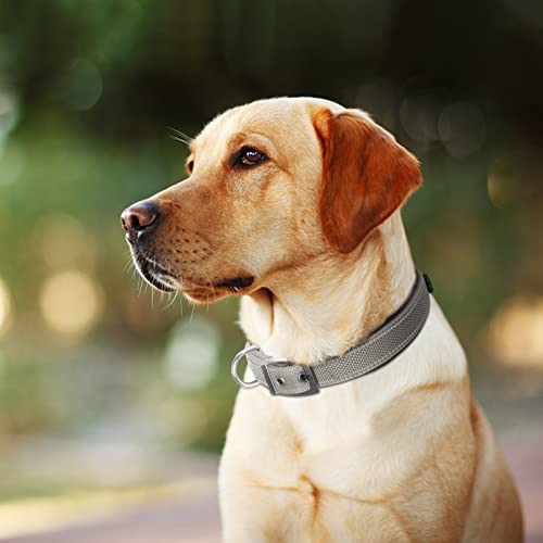 Heavy Duty Dog Collar for Large Dogs with Metal Belt Buckle (Large(19"-23") / Grey)