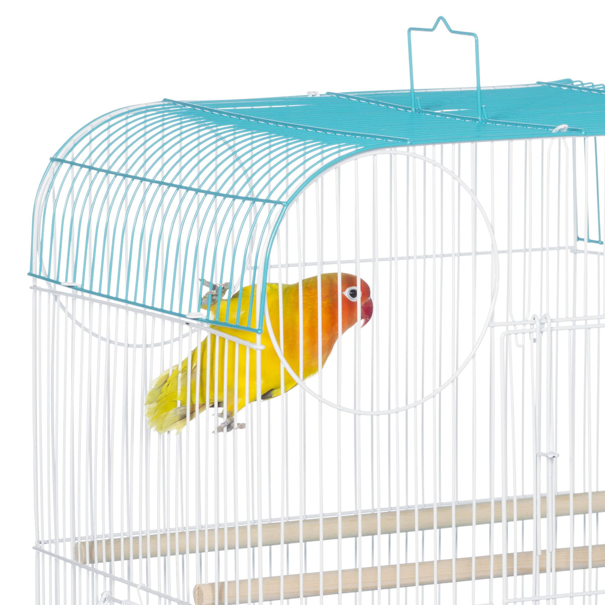 South Beach Flat Top Bird Cage Minimal Assembly (Teal / 10.6"L x 0.5"W x 18.0"H)