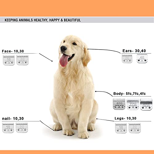 7FC Blades Dog Grooming Clipper Blade Compatible with Andis (1pc 7fc:1/8''(3.2mm))