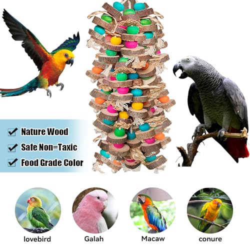 Parrot Toys for Large Birds