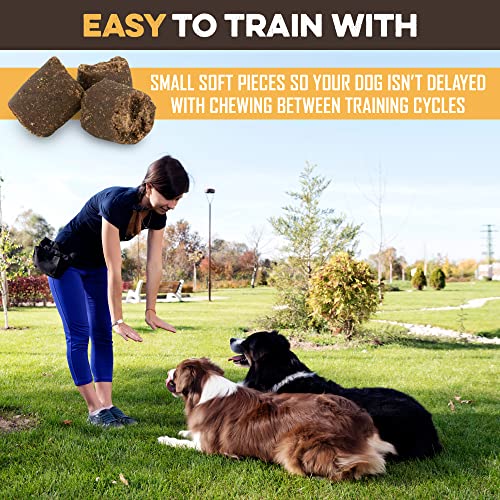Natural Peanut Butter & Honey Dog Training Treats (1 Pound (Pack of 1))