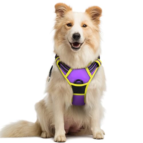 Dog Harness No Pull Medium Sized with 2 Leash Clips