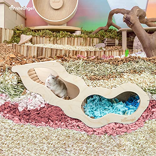 Hamster House w