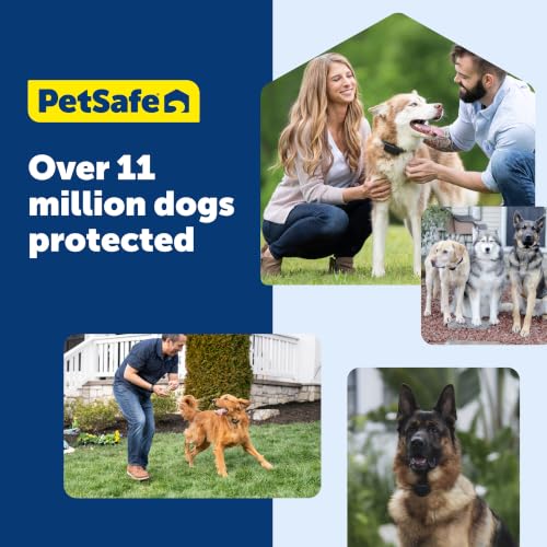 Guardian GPS Add (Black / Add-a-Dog Collar)