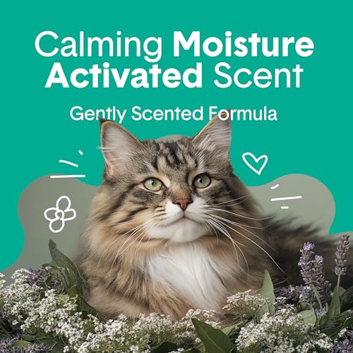 Boxie Premium Scented Clumping Cat Litter 30+ Day Odor Control 16 lb (16 lb)