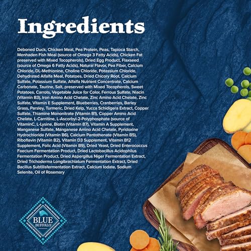Wilderness Duck Adult Dry Cat Food (1 Count (Pack of 1))