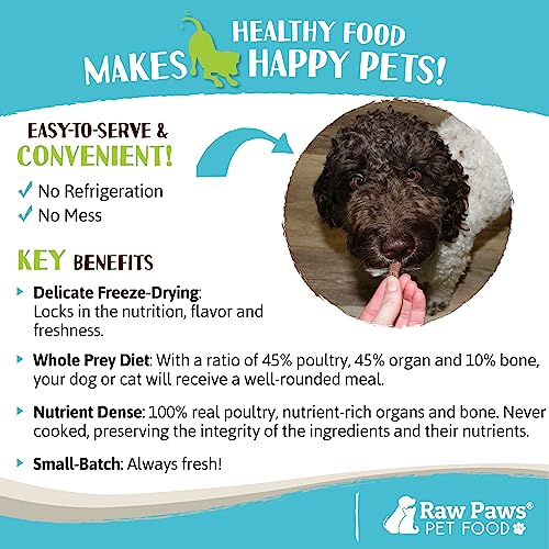 Freeze Dried Dog Food & Cat Food