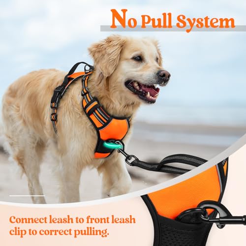 Dog Harness No Pull for Small Dogs with 2 Leash Clips (Small / Orange)