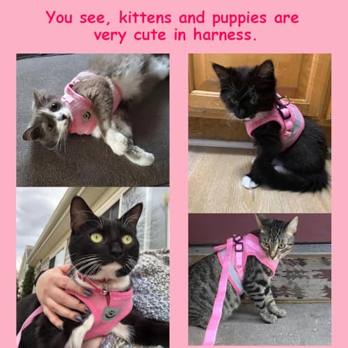 Cat Harnesses and Puppy Harness with Leashes Set (M (Chest: 12" - 14") / Pink)