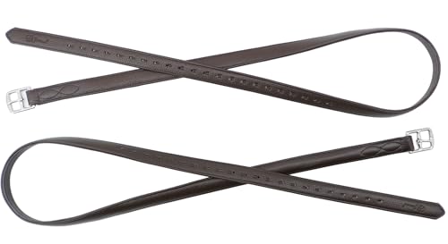 Stability English Stirrup Leathers with Strong Nylon Core for Equestrian Riding (58" / 145cm / Dark Coffee)