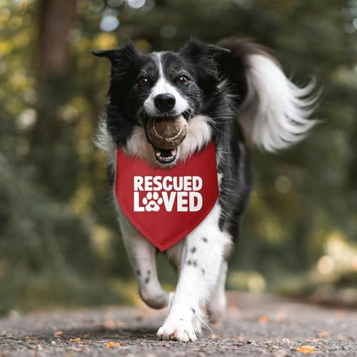 Rescued Loved Dog Bandana Adopt Me Bandanas for Dogs Adoption Gotcha Day Adopted Baby Dog Announcement Adopt Me Pets Scarf for Small Medium Dogs & Cats (V)