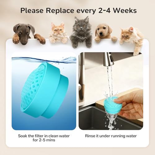 Cat Fountain Filter