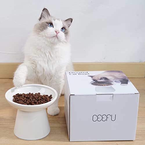 Extra Wide Elevated Ceramic 6.2" Shallow Cat Food Bowl (White-Shallow)