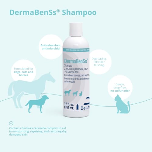 Shampoo for Dogs