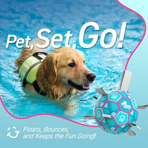 Dog Toys Soccer Ball with Straps (Lake Blue / Medium Size 2 (6 Inch))