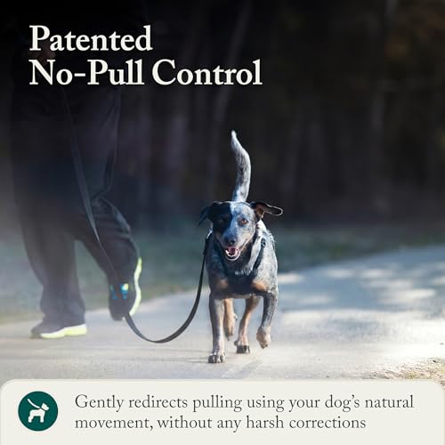 No Pull Dog Harness (Medium / Black)