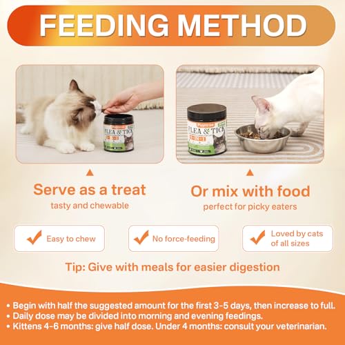Flea and Tick Prevention for Cats