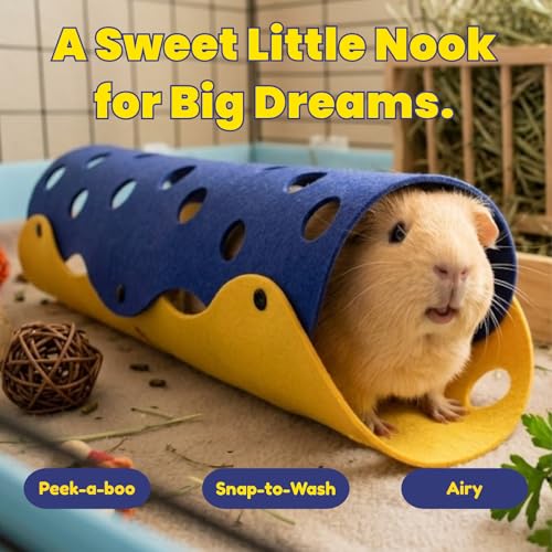 2Pack Guinea Pig Tunnel and Tube (Green&Blue)