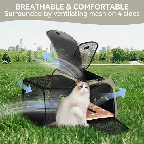 19"X12" X12" Expandable Pet Carrier (19.0"L x 12.0"W x 12.0"H / Green)