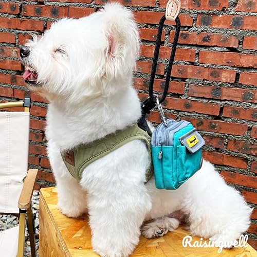 Dog Treat Pouch for Pet Walking and Training with Clicker Poop Bags and Three Bags Design Small Fanny Zipper Pack Holder for Puppy Snack Dispenser Kit for Leash and Outdoor Use (Two Bag / d2.Green1)