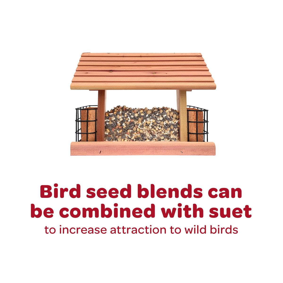 Wild Finch Bird Food Stand Up Bag (5 Pound (Pack of 1))