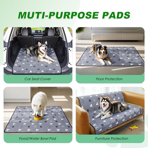 Washable Pee Pads for Dogs (Gray / 24"x36" (Pack of 2))