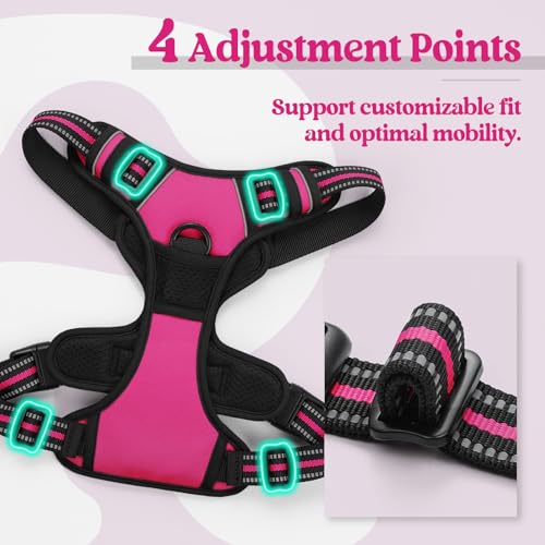 Dog Harness No Pull for Small Dogs with 2 Leash Clips (Small / Hot Pink)