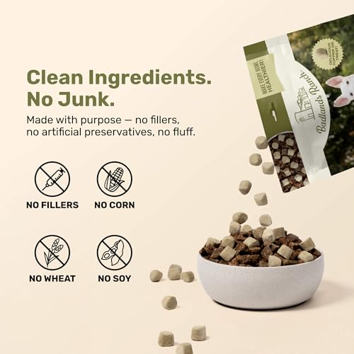 Superfood Nuggets (8 Ounce (Pack of 1))