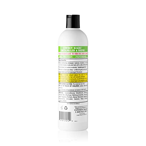 Detangler & Shine 16 Ounce (16 Fl Oz (Pack of 1))