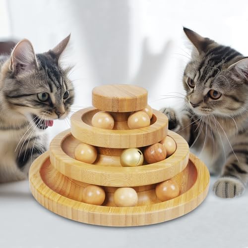 Cat Ball Track (Large - Standard)