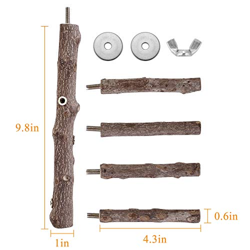 Bird Perch Stand Toy Natural Wood Bird Cage Branch Perch 10 Inch (10 Inch Perch)