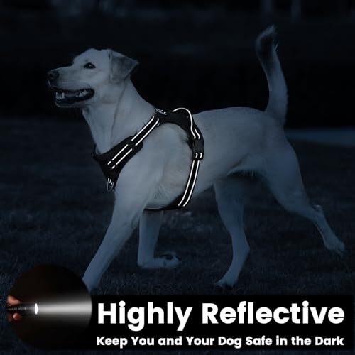 No Pull Dog Harness Front Clip Handle (Black / L(Neck:20.9-31.5",Chest:24.8-37.4"))