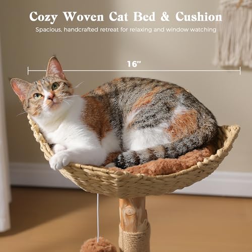 Modern Wood Cat Tree with Wicker Basket Bed & 2 Balls (Brown / 37.5" Solid Wood Cat Tree)