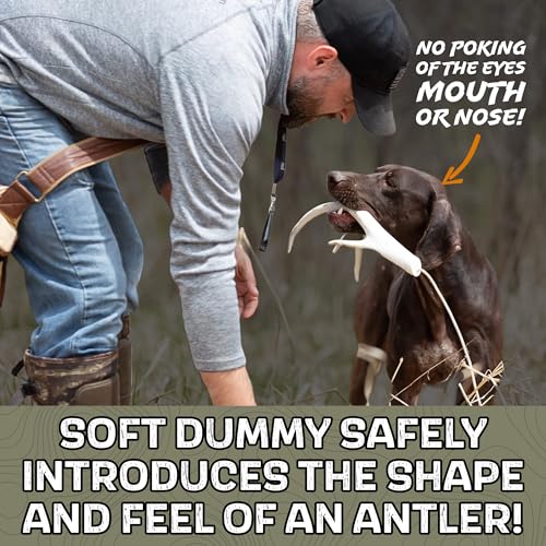 Shed Hunting Dog Training Kit