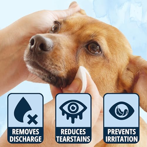 Cat & Dog Eye Wipes Tear Stain Remover For Discharge and Crust (1 Count (Pack of 150))