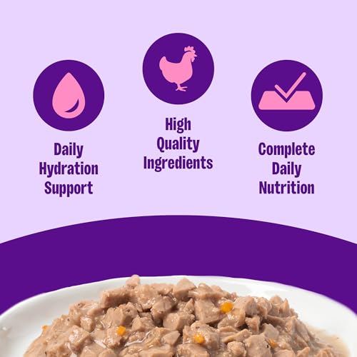 Complete Health Gravies Adult Canned Wet Cat Food (3 Ounce (Pack of 12))