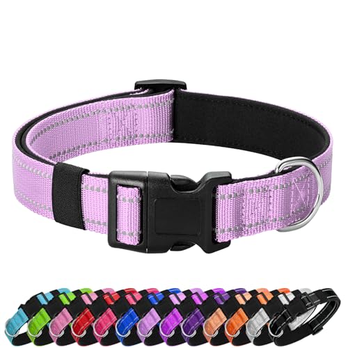 Reflective Dog Collar (Lavender / XS:width 5/8"neck 8-10.5")