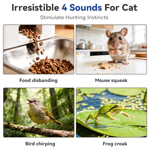 Interactive Cat Toy for Indoor Cats (Starry Night)