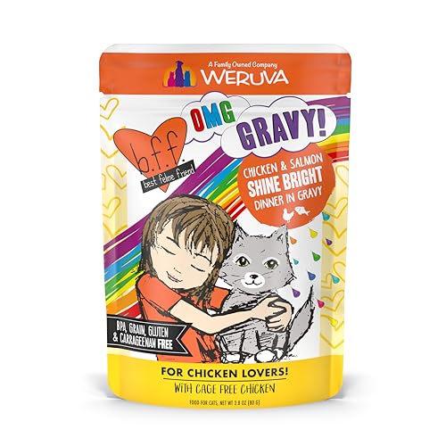 B.F.F. OMG Best Feline Friend Oh My Gravy! (2.8 Ounce (Pack of 12))