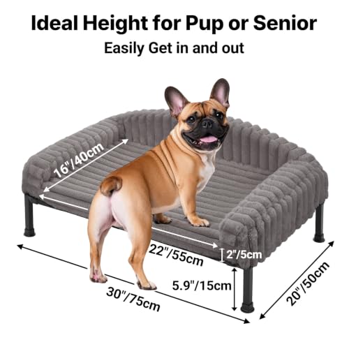 Elevated Dog Bed with Bolster Cushion (Grey / 30.0"L x 20.0"W x 8.3"Th)