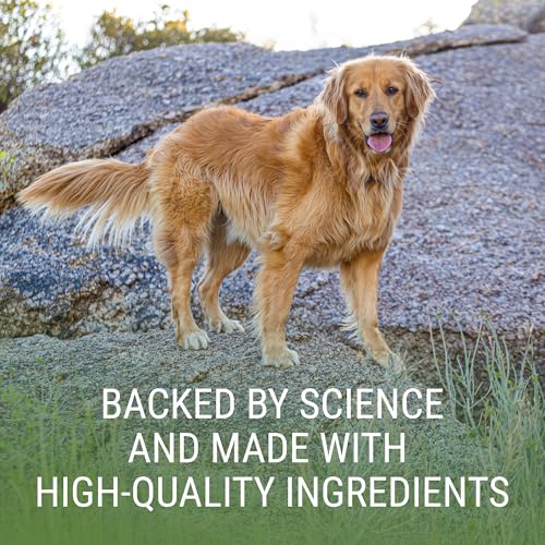 Nutramax Denosyl Liver & Brain Supplement for Large Dogs (Large Dog (Over 35 lbs))