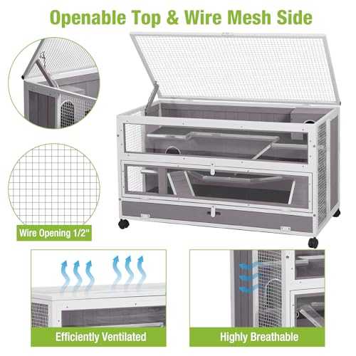 Guinea Pig Cages (White)