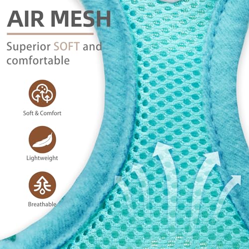 Dog Harness Collar and Leash Set No Pull for Small Medium Sized (Turquoise / XS (CHEST 13"-14.5"))