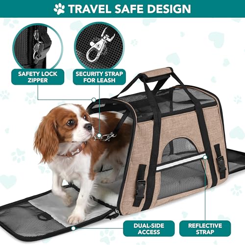 Airline Approved Pet Carrier Cats & Small Dogs (Heather Taupe / 17.0"L x 10.2"W x 11.2"H)