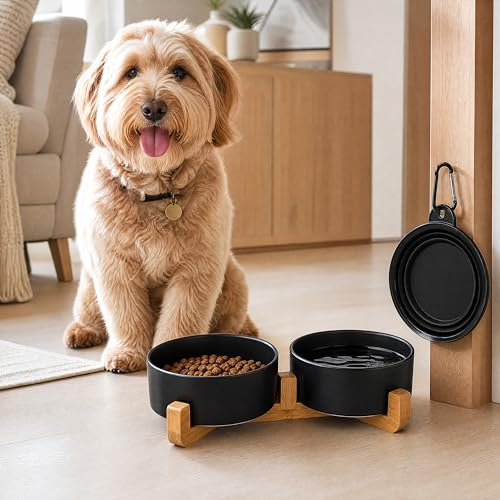 Ceramic Dog Cat Bowls Set with Stand (Black / 400ML*2)