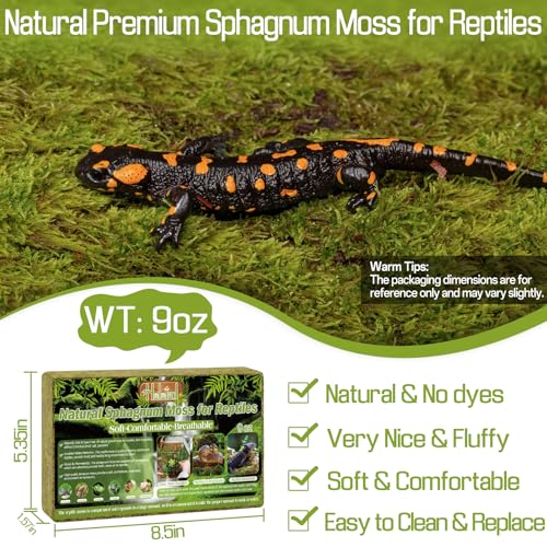 9 OZ Sphagnum Moss for Reptiles (9OZ)