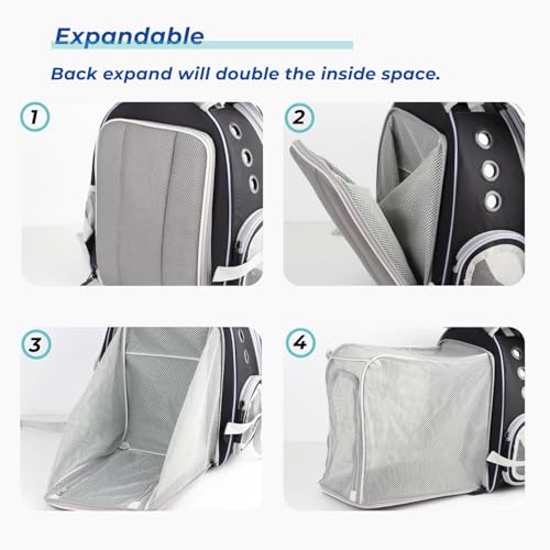 Expandable Bubble Cat Carrier Backpack (Square Back Expandable-Black)